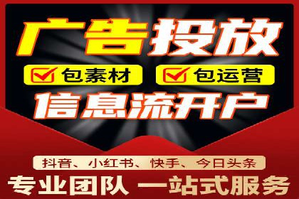 专业SEM服务公司案例分析报告